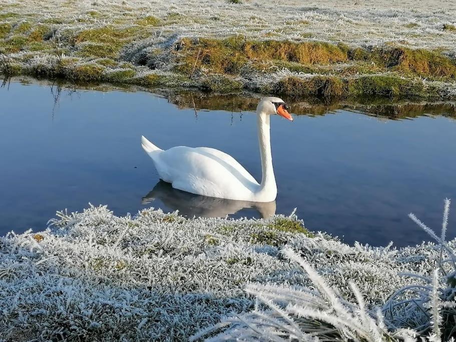 Le Logis Du Heron Coulon Eksteriør bilde